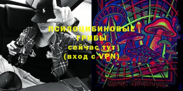 ешки Балахна