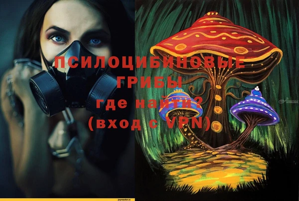 ешки Балахна