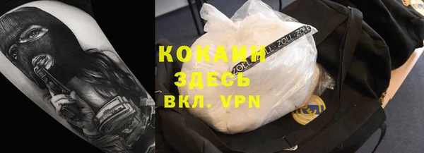 прущие грибы Сафоново