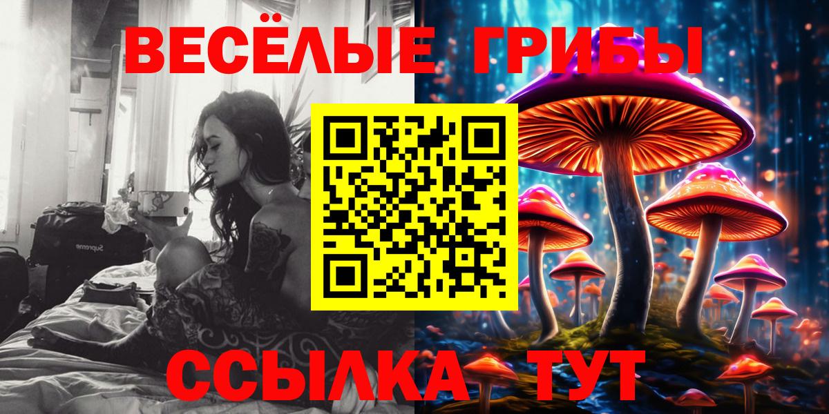Семилуки  Псилоцибиновые грибы Cubensis  Вход с VPN 